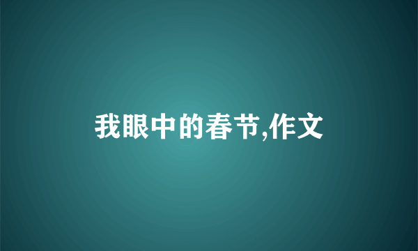 我眼中的春节,作文