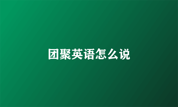 团聚英语怎么说
