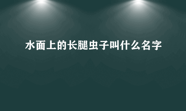 水面上的长腿虫子叫什么名字