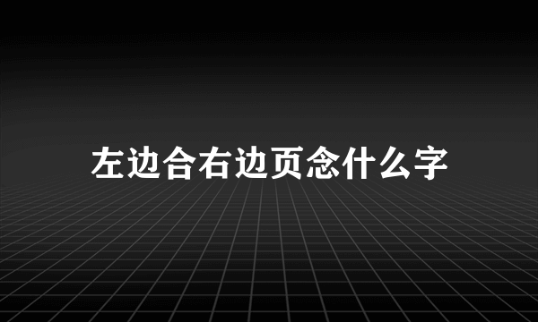 左边合右边页念什么字
