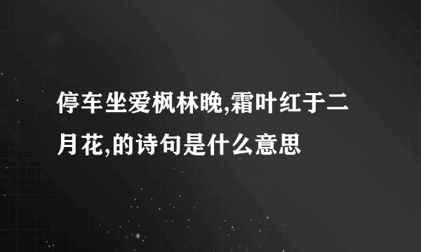 停车坐爱枫林晚,霜叶红于二月花,的诗句是什么意思
