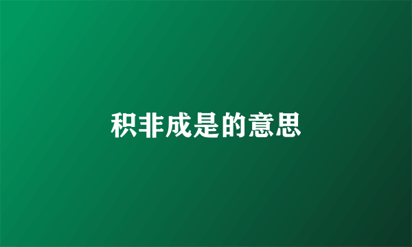 积非成是的意思