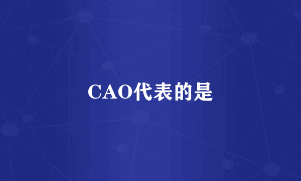 CAO代表的是
