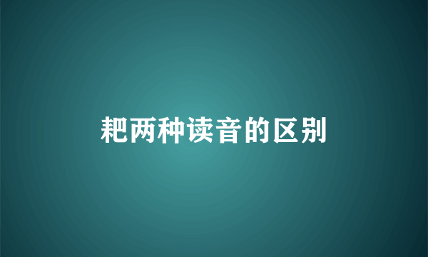 耙两种读音的区别
