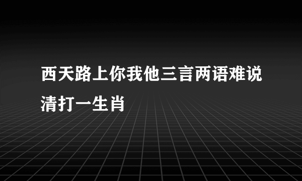 西天路上你我他三言两语难说清打一生肖