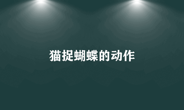 猫捉蝴蝶的动作