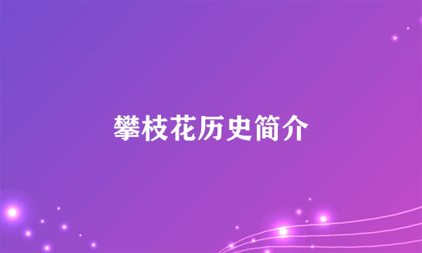攀枝花历史简介