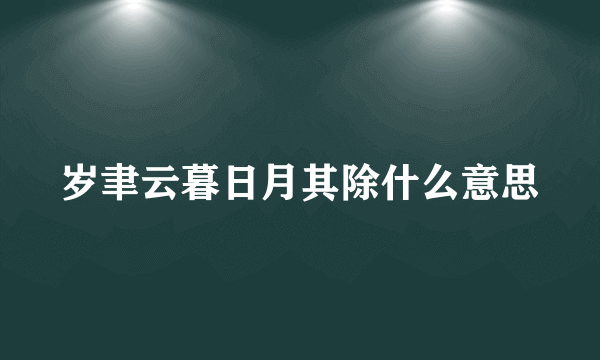 岁聿云暮日月其除什么意思