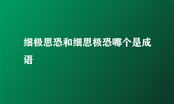 细极思恐和细思极恐哪个是成语