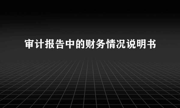 审计报告中的财务情况说明书