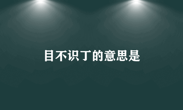 目不识丁的意思是