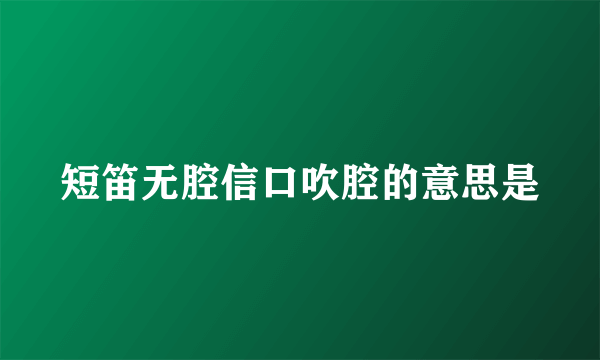 短笛无腔信口吹腔的意思是