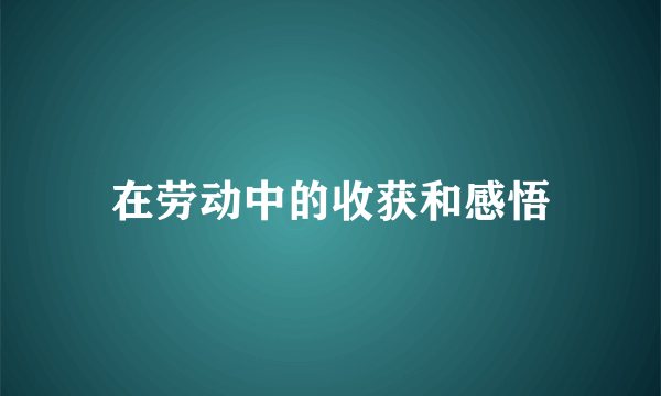 在劳动中的收获和感悟
