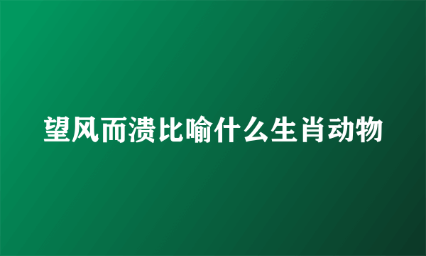 望风而溃比喻什么生肖动物