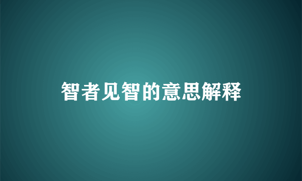 智者见智的意思解释