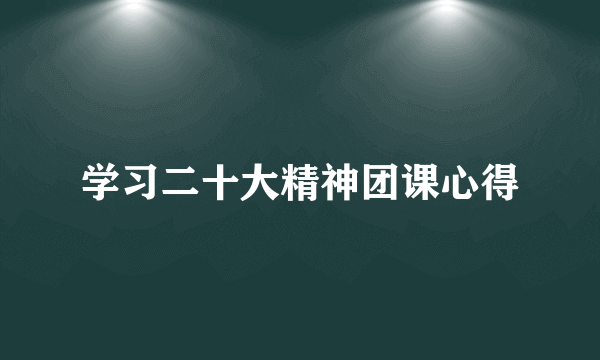 学习二十大精神团课心得