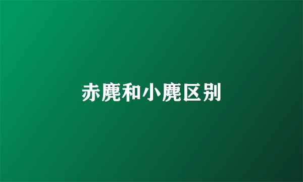 赤麂和小麂区别