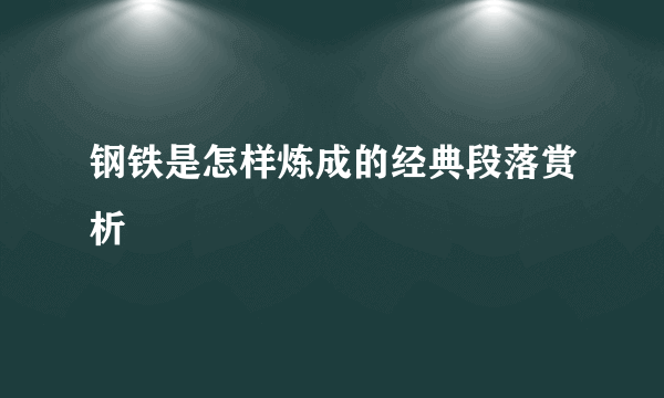 钢铁是怎样炼成的经典段落赏析