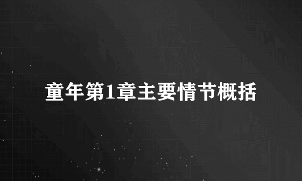 童年第1章主要情节概括