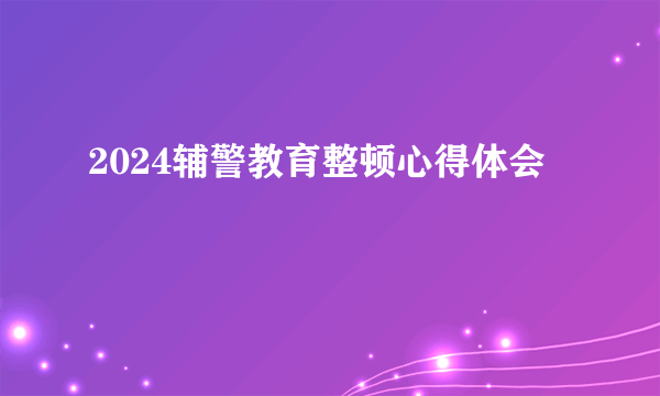 2024辅警教育整顿心得体会