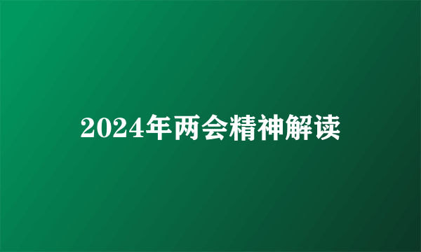 2024年两会精神解读