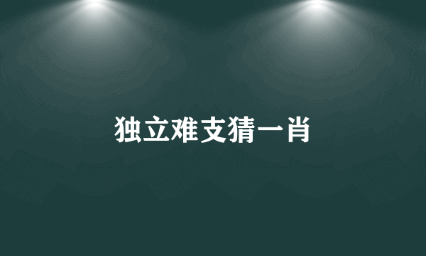 独立难支猜一肖