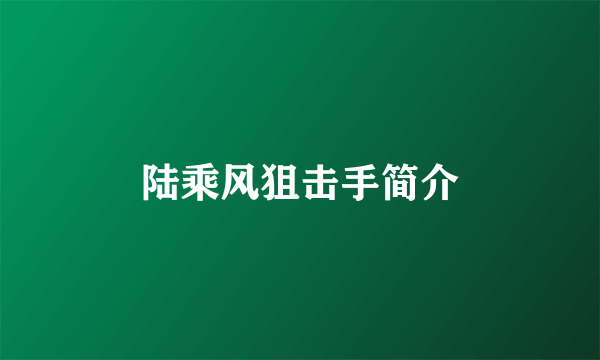 陆乘风狙击手简介