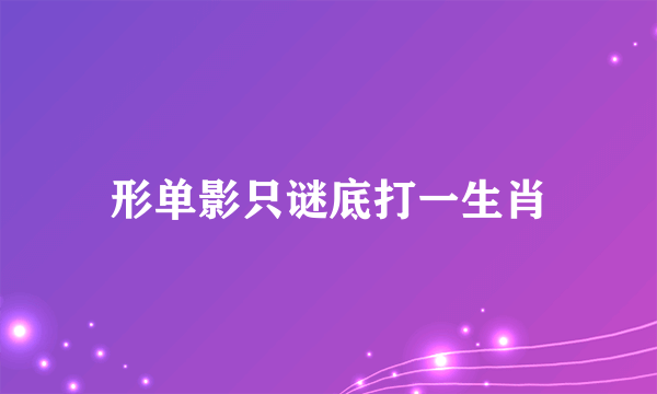 形单影只谜底打一生肖