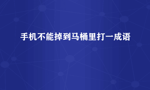 手机不能掉到马桶里打一成语