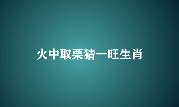 火中取栗猜一旺生肖