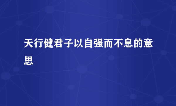 天行健君子以自强而不息的意思