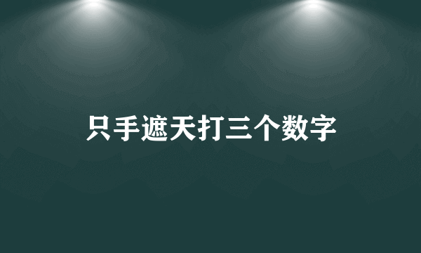 只手遮天打三个数字