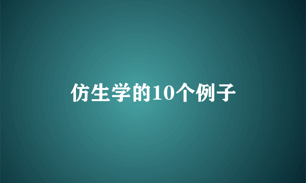 仿生学的10个例子