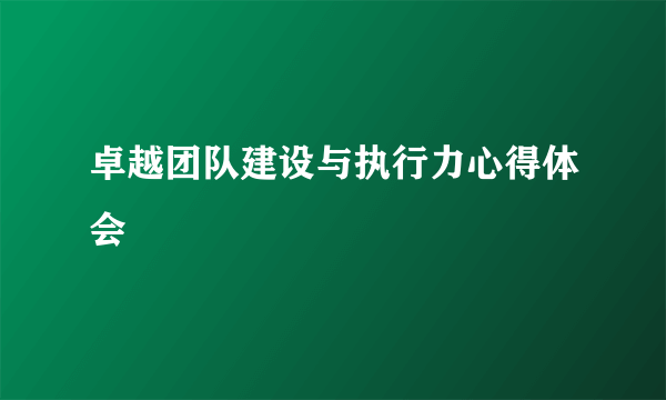 卓越团队建设与执行力心得体会