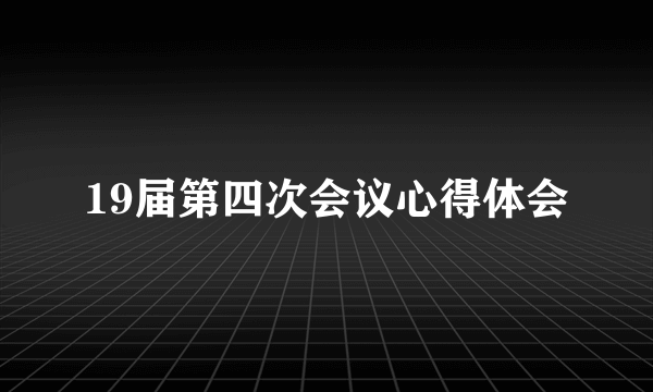 19届第四次会议心得体会