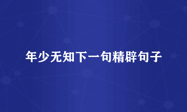 年少无知下一句精辟句子