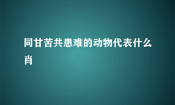 同甘苦共患难的动物代表什么肖