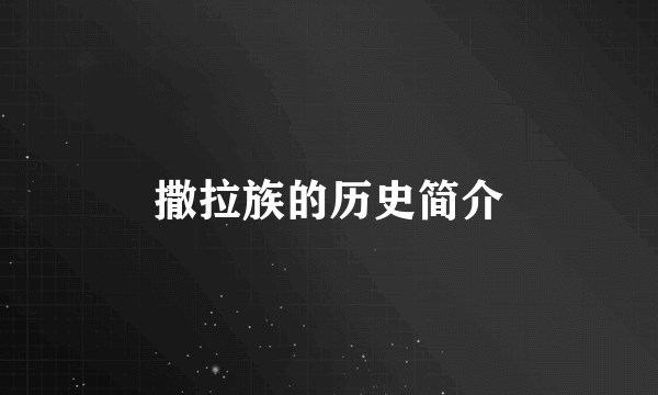 撒拉族的历史简介
