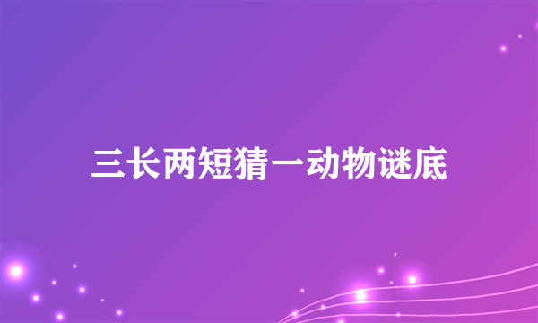 三长两短猜一动物谜底