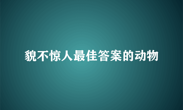 貌不惊人最佳答案的动物