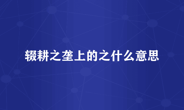 辍耕之垄上的之什么意思