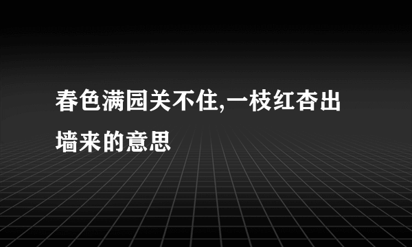 春色满园关不住,一枝红杏出墙来的意思