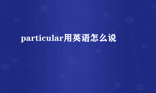 particular用英语怎么说