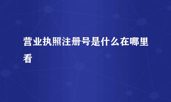 营业执照注册号是什么在哪里看
