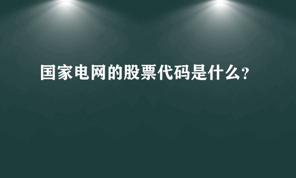 国家电网的股票代码是什么？