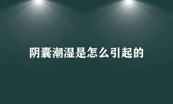 阴囊潮湿是怎么引起的