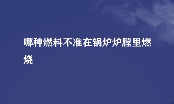 哪种燃料不准在锅炉炉膛里燃烧