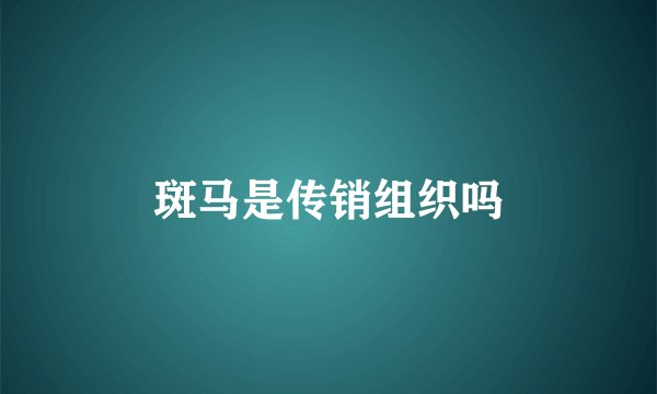 斑马是传销组织吗