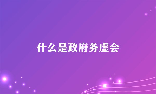 什么是政府务虚会