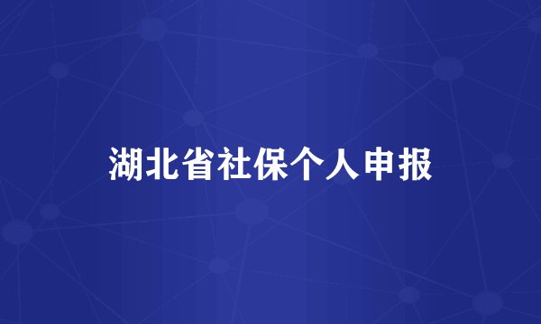 湖北省社保个人申报